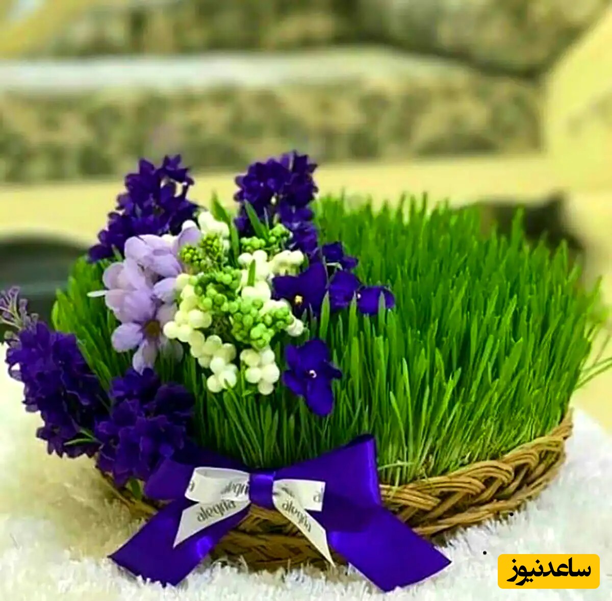 تزیین هفت سین