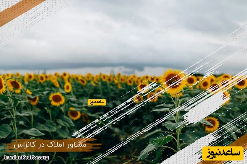 مشاور املاک ایرانی؛ خرید و فروش خانه در کانزاس