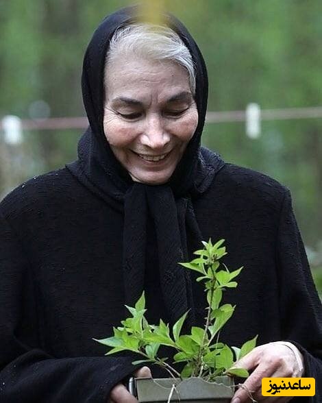 پروانه معصومی