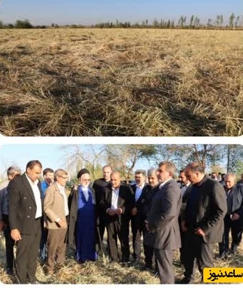 بازدید میدانی رئیس کمیسیون کشاورزی مجلس از اراضی خسارت‌دیده شوشتر