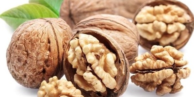 دیدن گردو در خواب چه تعبیری دارد؟ / تعبیر خواب گردو