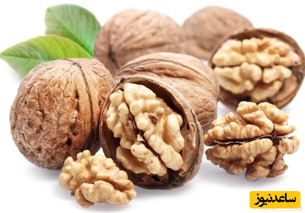 دیدن گردو در خواب چه تعبیری دارد؟ / تعبیر خواب گردو