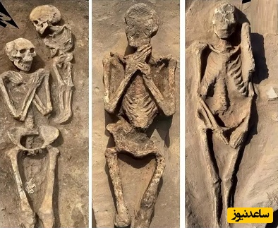 اسکلت