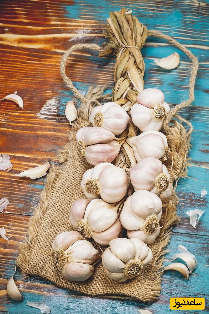  سیر؛ دشمن طبیعی شپش‌های سر