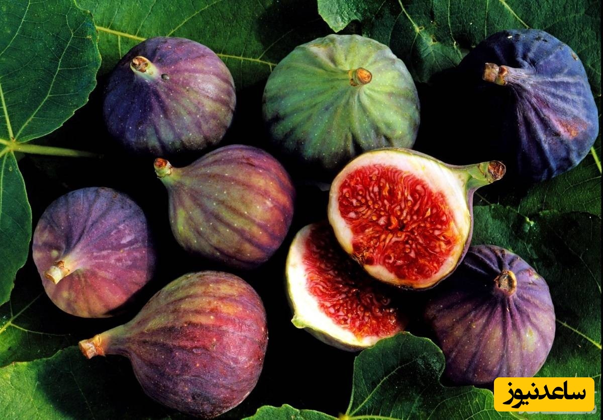 فواید و مضرات مصرف انجیر در دوران بارداری