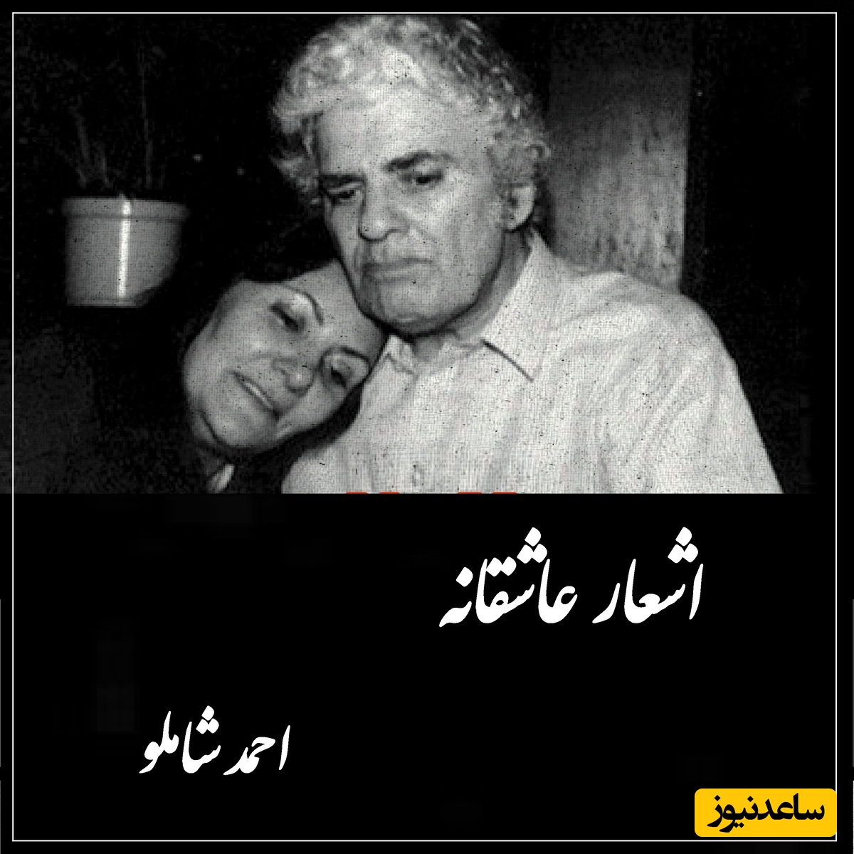 جاودانه‌ترین شعر احمد شاملو از عشقی که با رنج درآمیخته؛ میان خورشید‌های همیشه
زیبائی تو لنگری‌ست.../ بیخود نیست که شاملو رو عاشقترین شاعر ایران می دانند