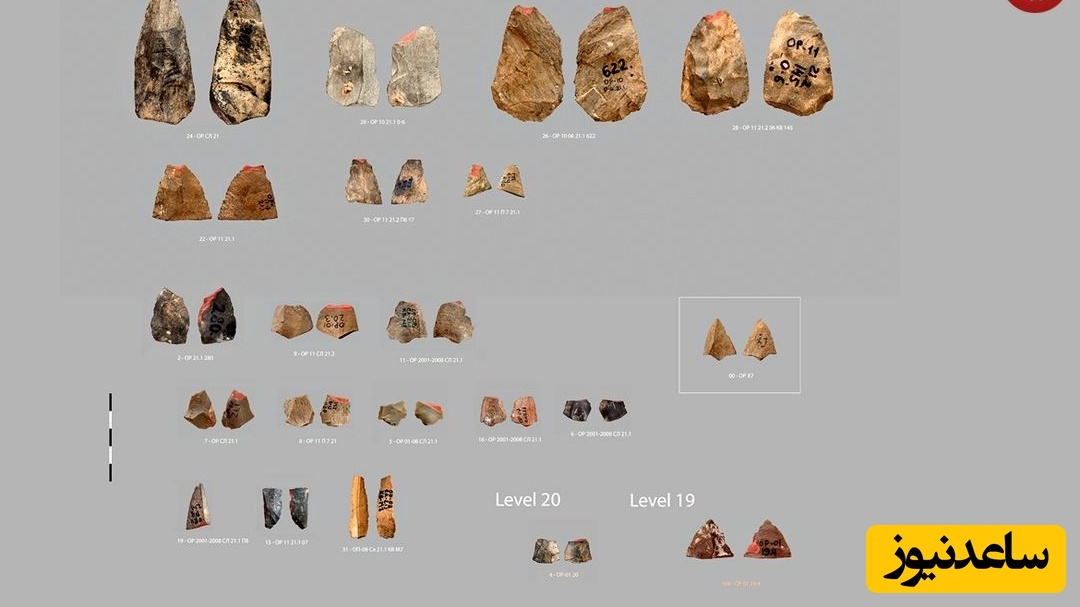 سنگ‌هایی که 80 هزارسال پیش تراشیده شده‌اند، شاید قدیمی‌ترین تیرهای جهان باشند