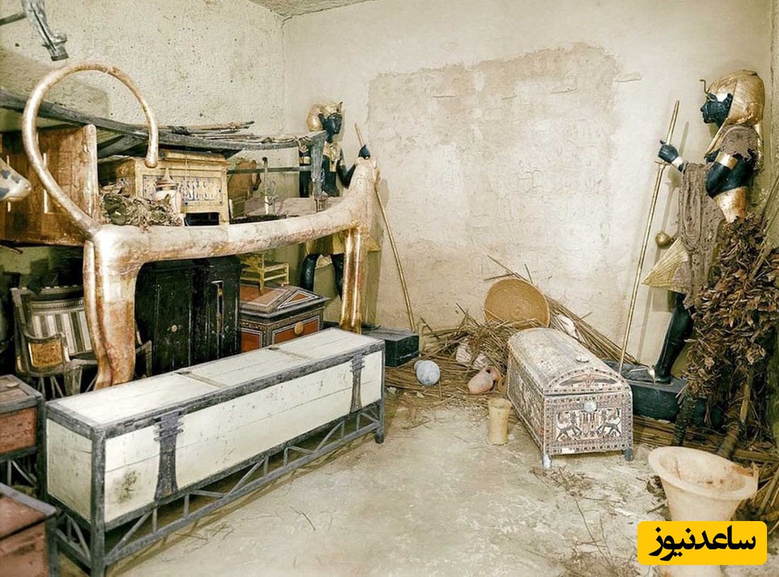 راز سیاه در مقبره فرعون؛ کشف ردپای تریاک در کوزه‌های 2500 ساله