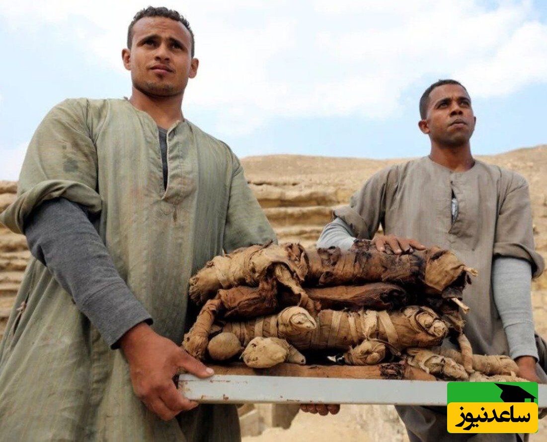 مومیایی حیوانات در مصر