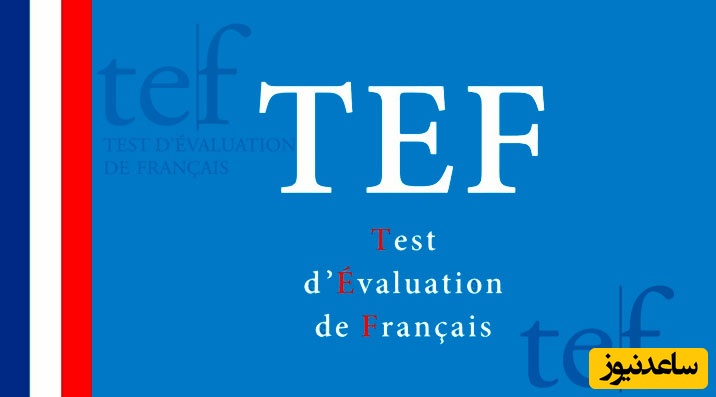 با مراکز مجاز برگزاری آزمون زبان فرانسه TEF در ایران آشنا شوید