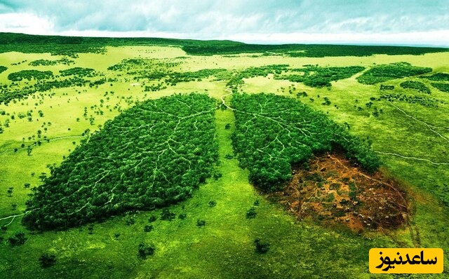 معادل اجزای موجود در محیط‌زیست در زبان آلمانی چه می شود؟