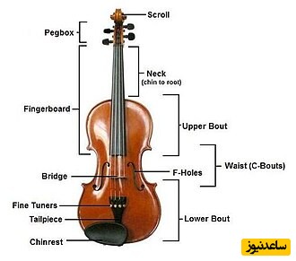 اجزای ویولن