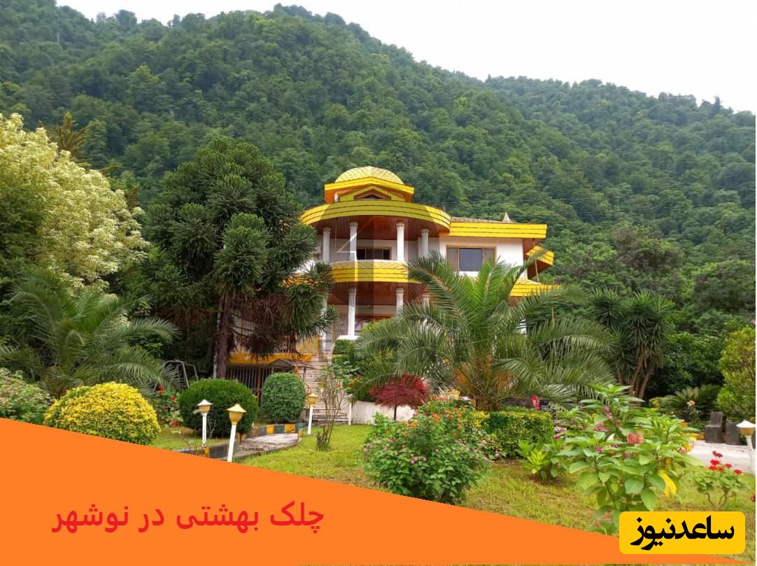 نگاهی به محله ویلایی و اروپایی علی دایی در چلک نوشهر با ویو رویایی، بهشت واقعی اینجاست😍 / گشتی در محله ستاره فوتبال ایران+ فیلم