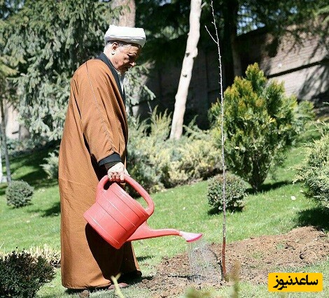 پسر ارشد آیت الله هاشمی رفسنجانی: خانوادگی مجموعاً 100 هکتار باغ پسته داریم+فیلم