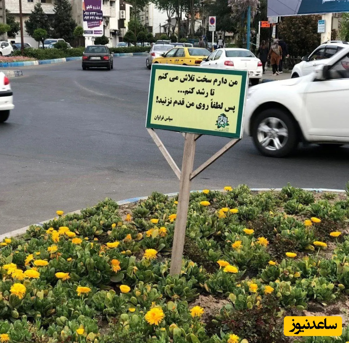 اقدام خلاقانه شهرداری