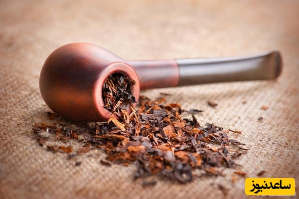 دیدن توتون در خواب چه تعبیری دارد؟ / تعبیر خواب توتون