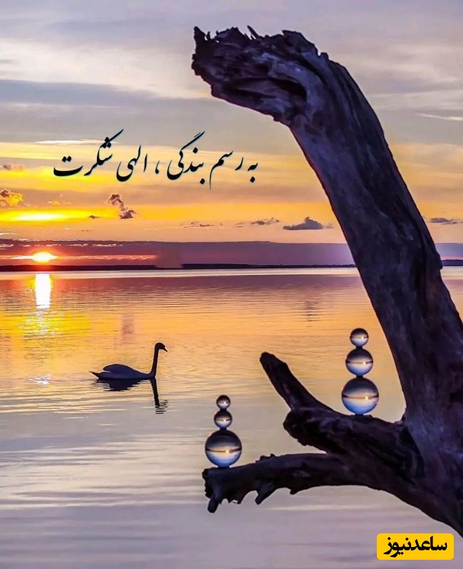 شکرگزاری صبحگاهی/ نجواهای عاشقانه‌ی صبح با خدا؛ شروعی پر از امید، آرامش و حالِ خوب 💛../ شکرگزاری امروز 31 فروردین 1405+ ویدئو