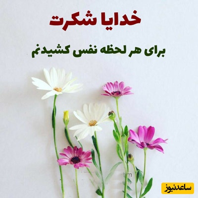 شکرگزاری صبحگاهی و تشکر از خداوند/ الهی شکر که زنده‌ام، که می‌توانم نفس بکشم، دعا کنم و امیدوار باشم. شکرت که حتی وقتی صدایت نمی‌کنم، تو کنارم هستی/ شکرگزاری امروز 7 اسفند