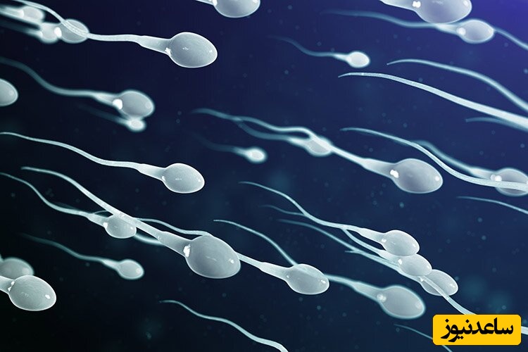 چگونه می‌توان میزان اسپرم را زیادتر کرد؟