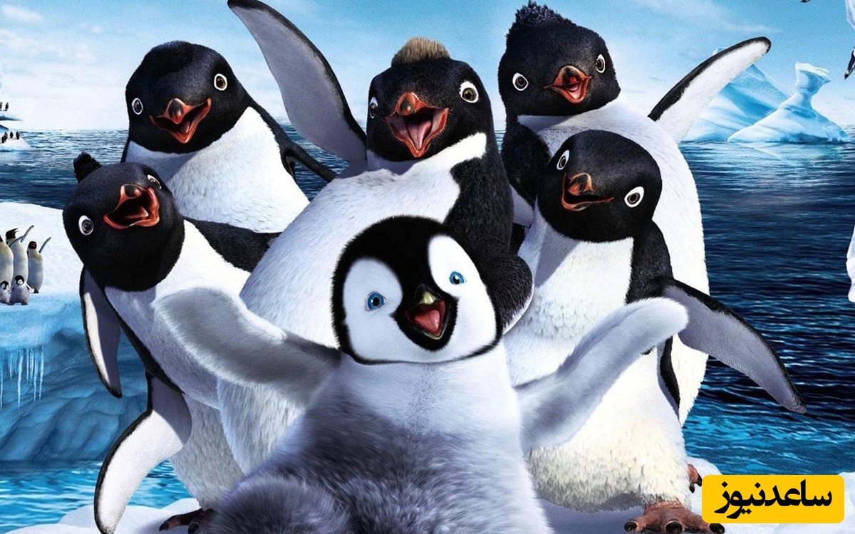معما تصویری| فکر میکنی ضریب هوشیت از انیشتین بیشتره؟ پس پنگوئن گمشده رو زیر 10 ثانیه پیدا کن!