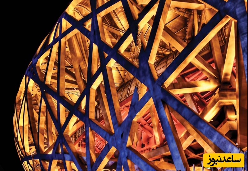 لانه پرنده پکن