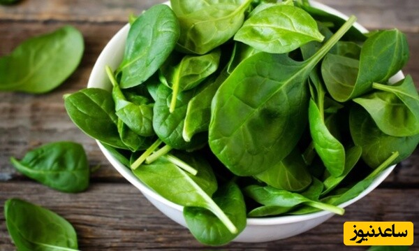 غذاهای اصیل اسفناجی که نباید فراموششان کنید/ کافیه یه بار امتحانشون کنین که عاشقشون بشین