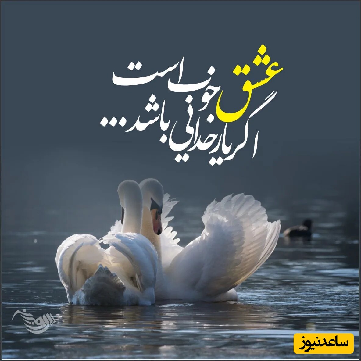 شعر ولنتاین