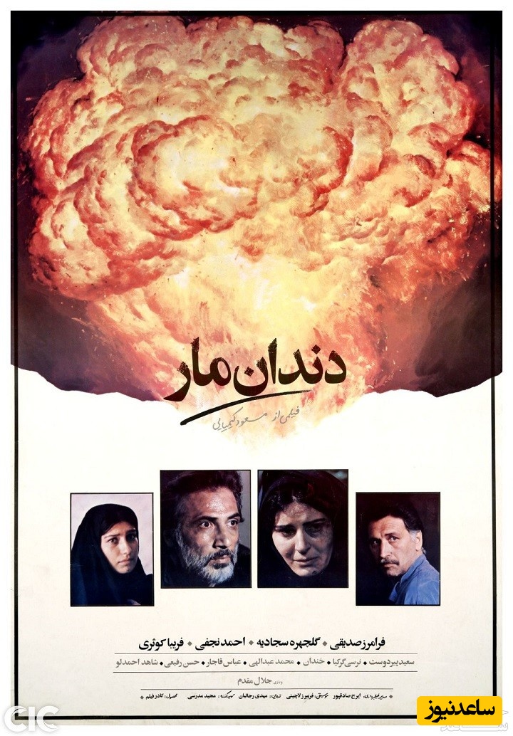 معرفی فیلم دندان مار