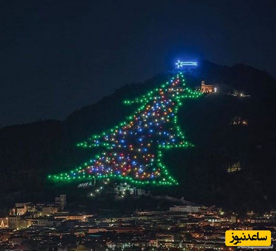 درخت کریسمس