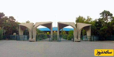 جنجال جلسه پایان نامه لیلا حسن‌زاده؛ دو عضو هیات علمی دانشگاه تهران تعلیق شدند