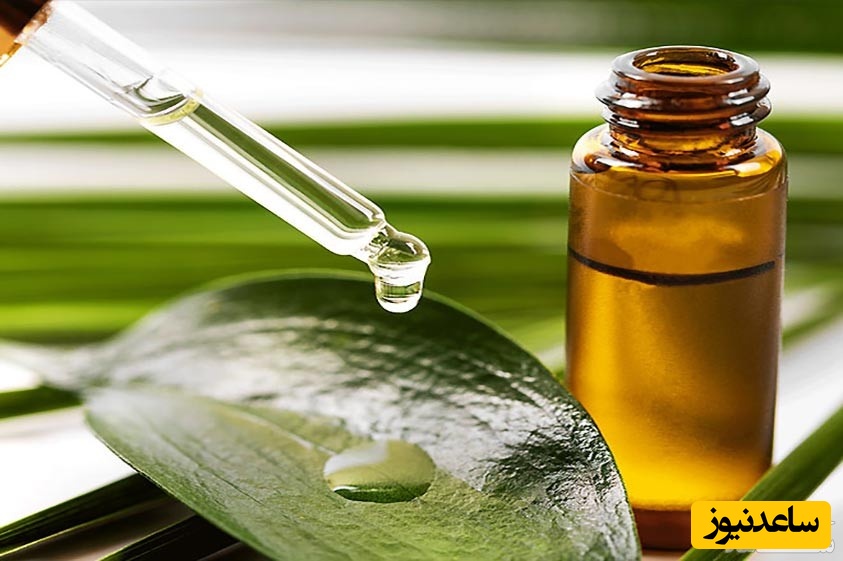 خاصیت بی‌نظیر روغن درخت چای در درمان آکنه که باید بدانید