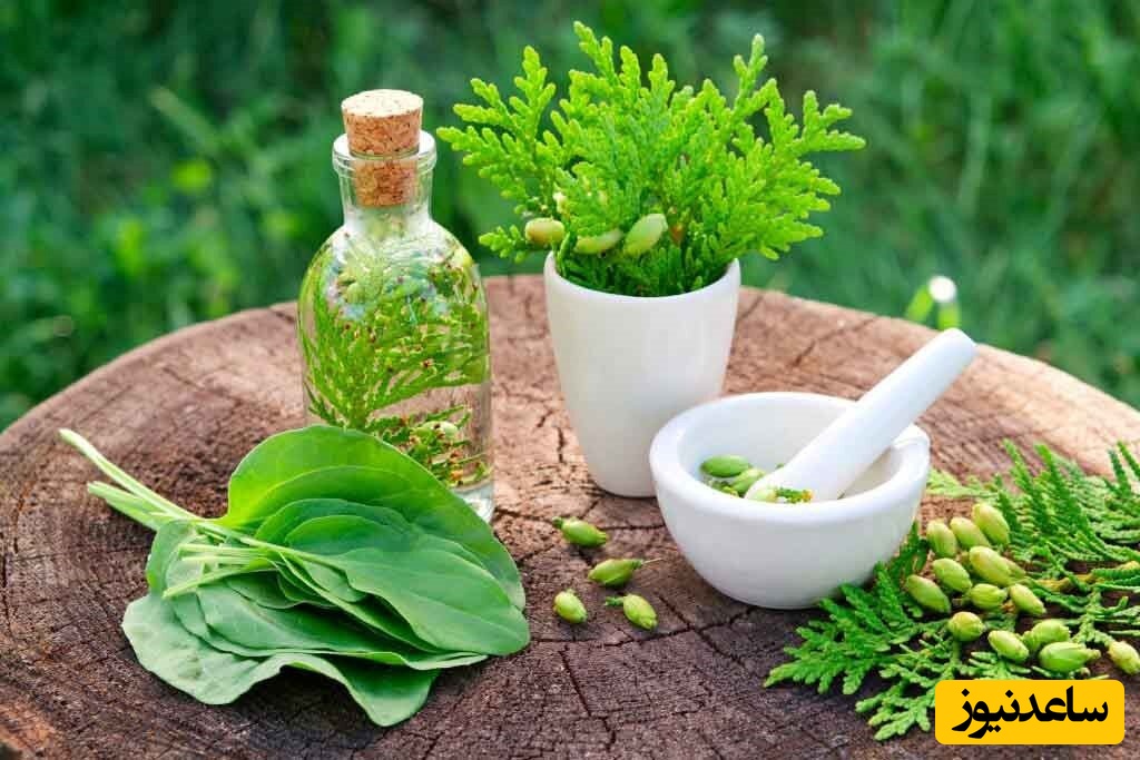 درمان اختلالات جنسی با طب سنتی چگونه انجام می‌گیرد؟