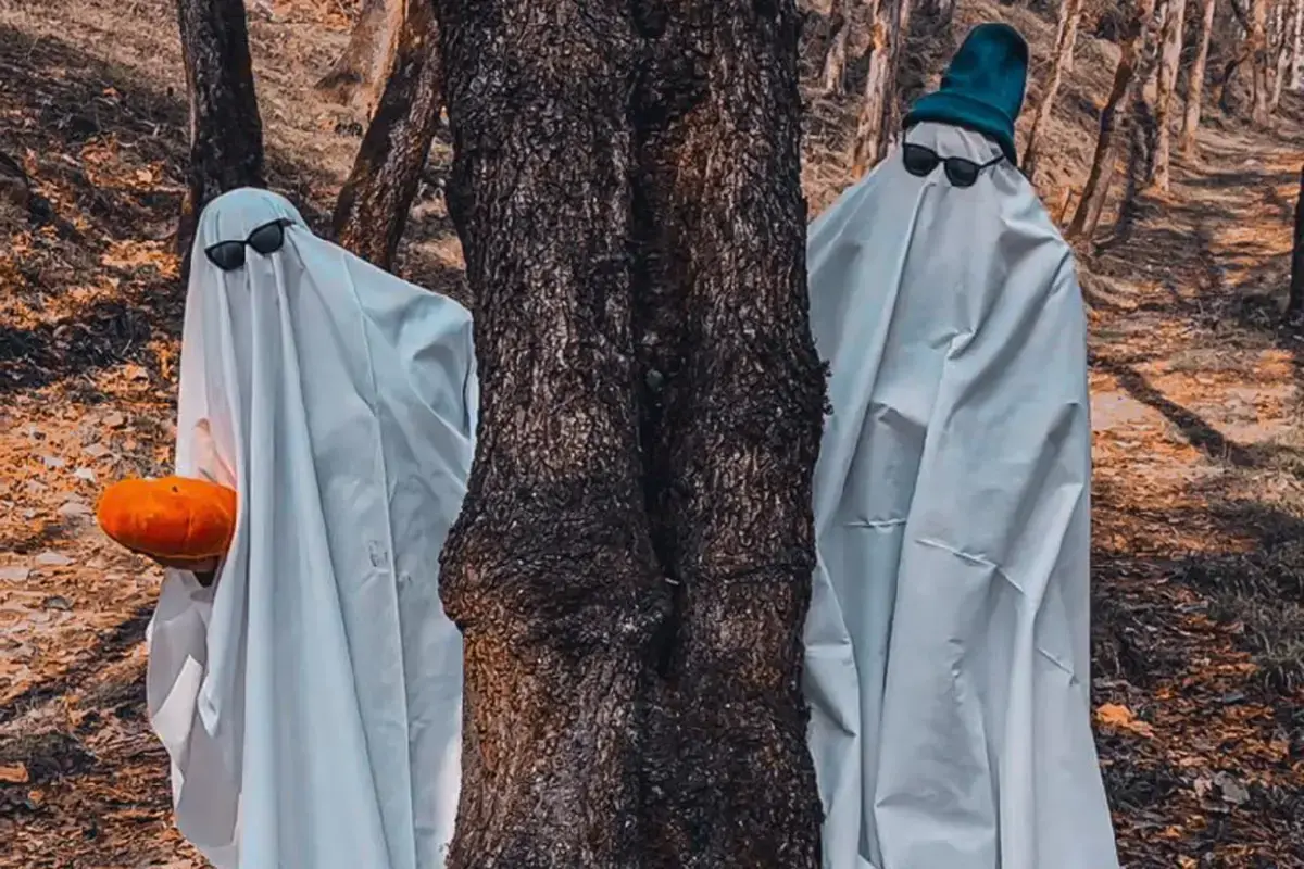 جزئیات تکان‌دهنده از تور هالووین با قیمتی سرسام‌آور در جنگل‌های ایران؛ از سرو مشروبات الکلی و انواع مواد مخدر تا...+فیلم