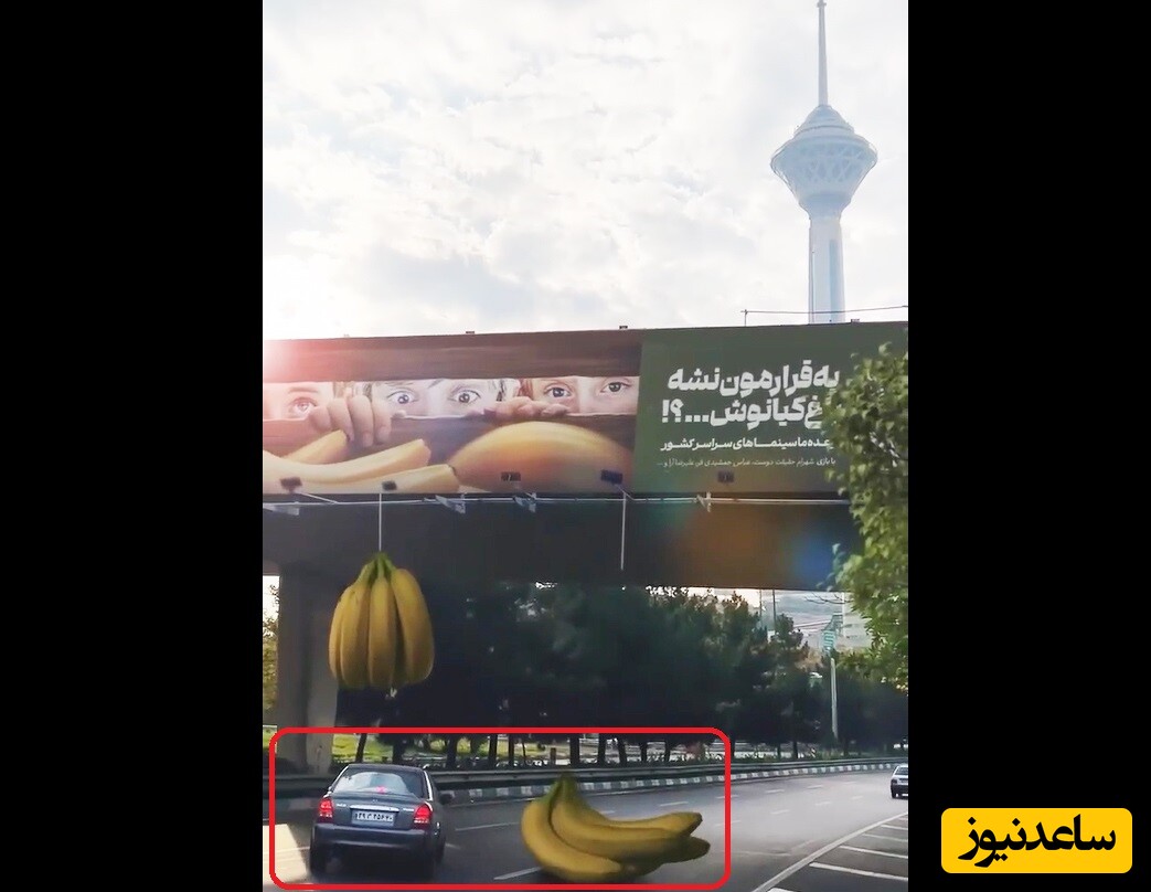 موزهای غول‌پیکر کف اتوبان کردستان تهران در حواشی داغ امروز سه‌شنبه 20 آذر 1403