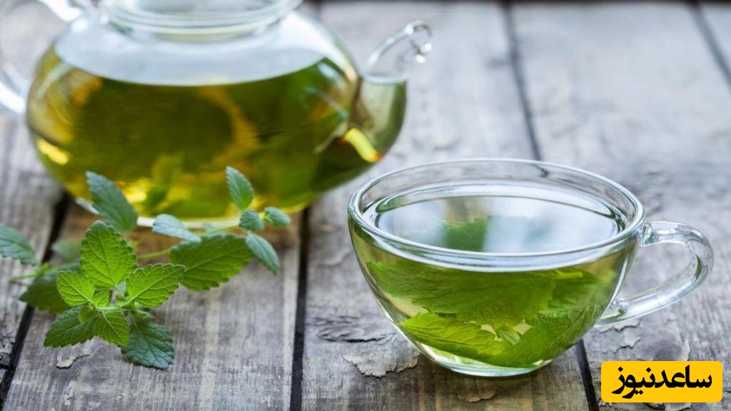 دمنوش پونه کوهی
