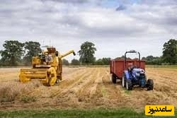 دیدن شخم زدن با گاو در خواب چه تعبیری دارد؟ / تعبیر خواب شخم زدن