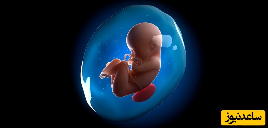روش‌های تشخیص پاره شدن کیسه آب در دوران بارداری
