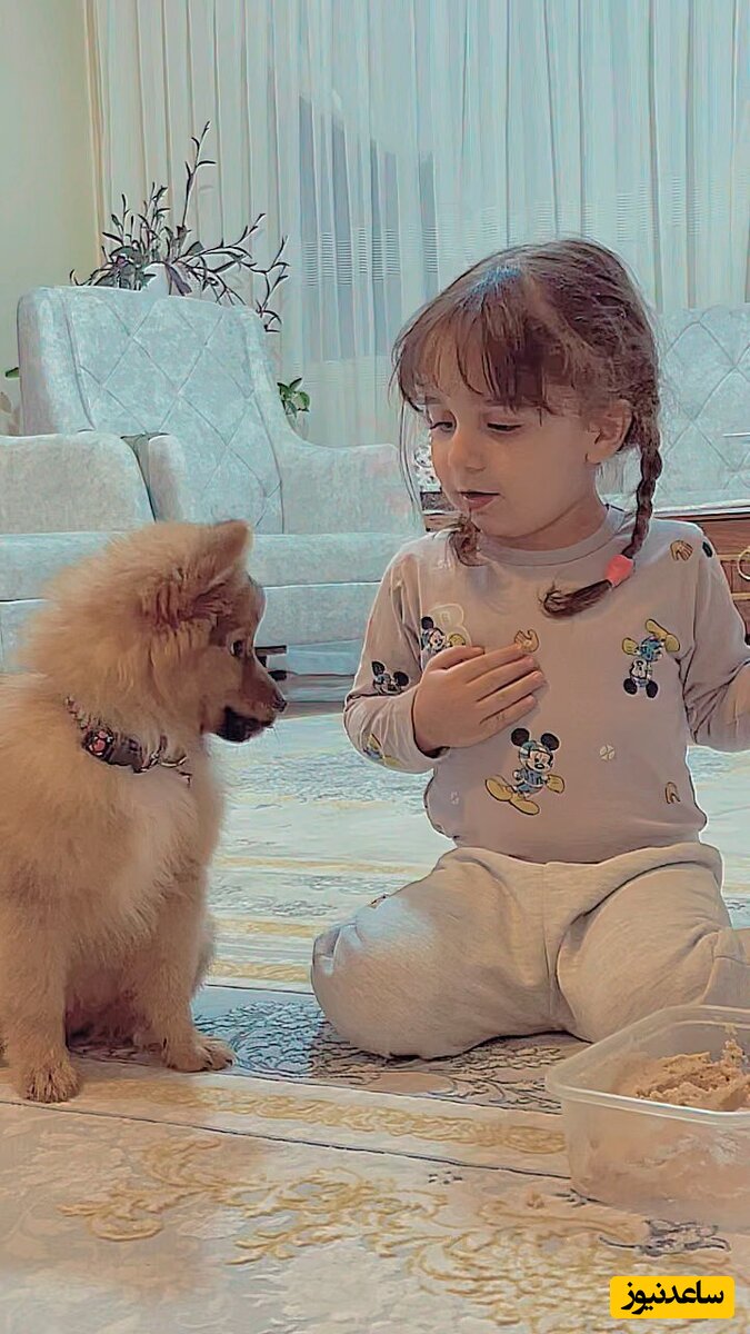 (فیلم) تربیت سگ 3 ماهه توسط دختر کوچولوی باهوش😍 / چیکو نخوره! حالا بخوره ...