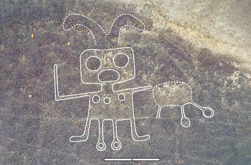 کشف تاریخی و 2 هزار ساله ی هوش مصنوعی همه را شگفت زده کرد!تپه نگاره هایی به شکل حیوانات وحشی در صحرای نازکا+تصاویر