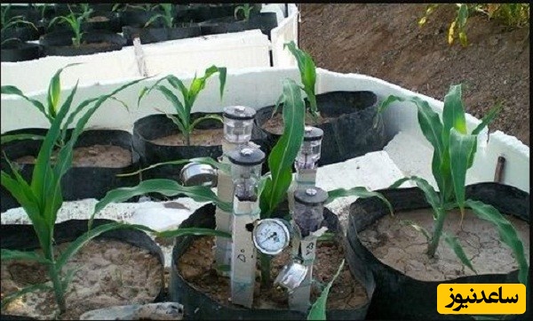 منابع دروس آزمون رشته علوم و مهندسی آب - آبیاری و زهکشی و ضرایب آن در مقطع دکتری