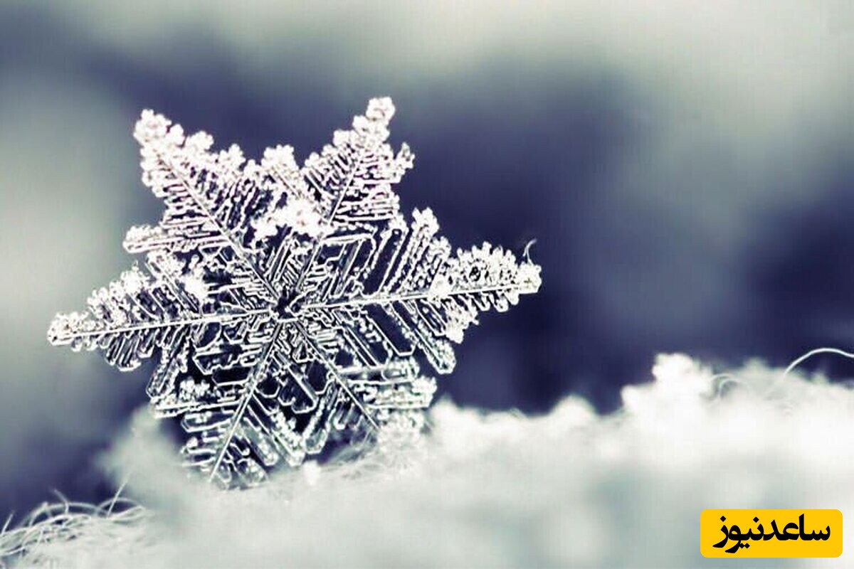 دیدن برف در خواب چه تعبیری دارد؟ / تعبیر خواب برف + فیلم