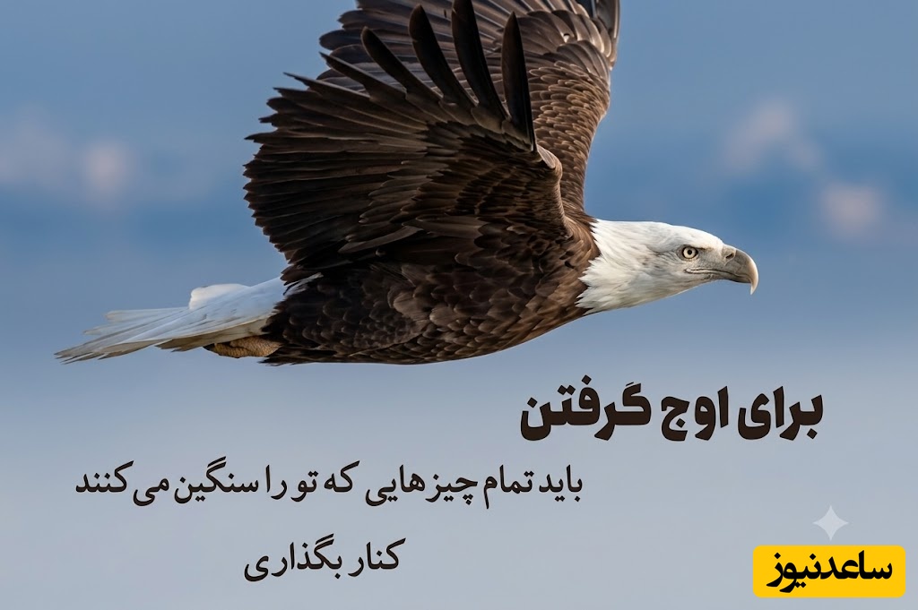 کائنات پیام ویژه ای برات داره / اگر امروز دلیلی برای امید نداری، فقط تسلیم نشو؛ گاهی امید قبل از دیده شدن، ساخته می‌شود /پیام انگیزشی امروز 22 خرداد 1405 + ویدئو