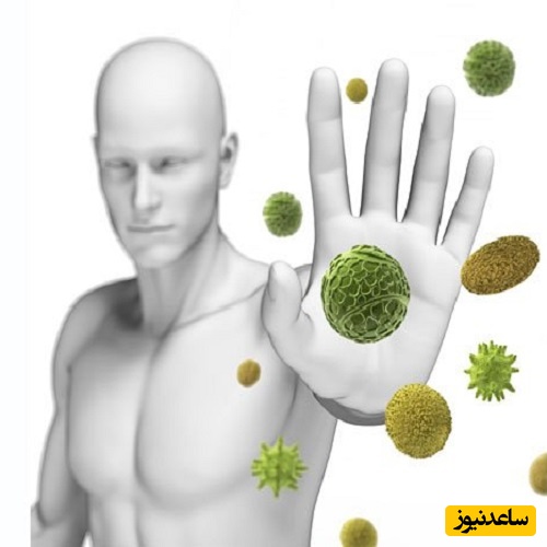 (ویدیو) دکتر علی‌اصغر زنده‌دل: با این خوراکی‌های ساده سیستم ایمنی‌تان را مثل فولاد بسازید! / توصیه‌های ناب طب سنتی در برنامه «صبحانه ایرانی»