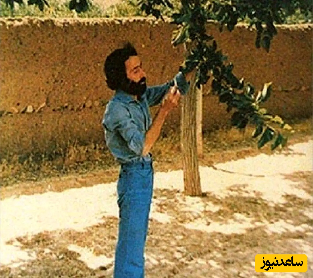 هر روز چند بیت شعر زیبا مهمان ما باشید/ زندگی، ترجمه روشن خاک است، در آیینه عشق