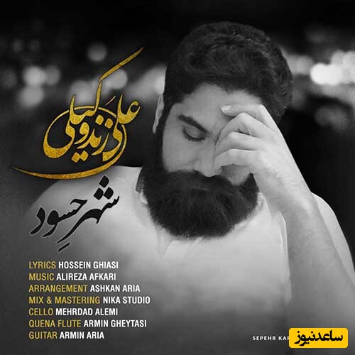 دانلود آهنگ «شهر حسود» از علی زندوکیلی/ بی تفاوت زیر این سقف کبودیم ...
