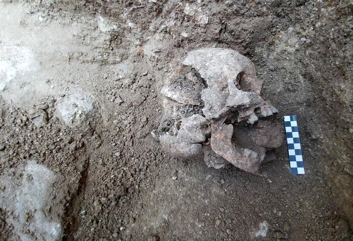 اسکلت کودکی که با سنگی در دهانش دفن شده بود، تاورینای ایتالیا