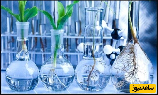 منابع دروس آزمون رشته بیوشیمی و ضرایب آن در مقطع دکتری