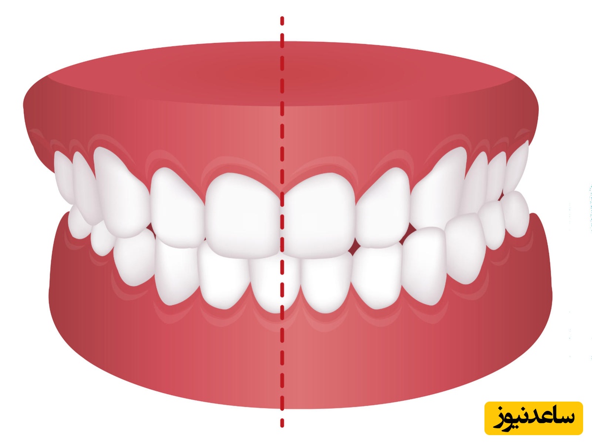 کراس بایت چیست؟