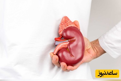 (ویدئو) فیلترهای یک میلیون دلاری بدن؛ با دیدن این ویدئو دیگر هرگز لیوان آب را زمین نمی‌گذارید!