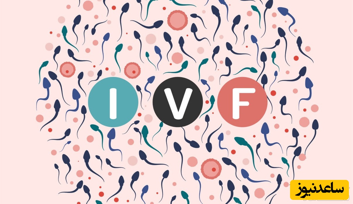 شانس بارداری با آی وی اف (IVF) را چگونه زیادتر کنیم؟